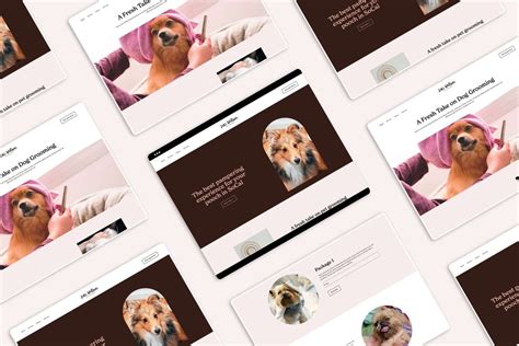 Pet Grooming Website Template by Squarespace