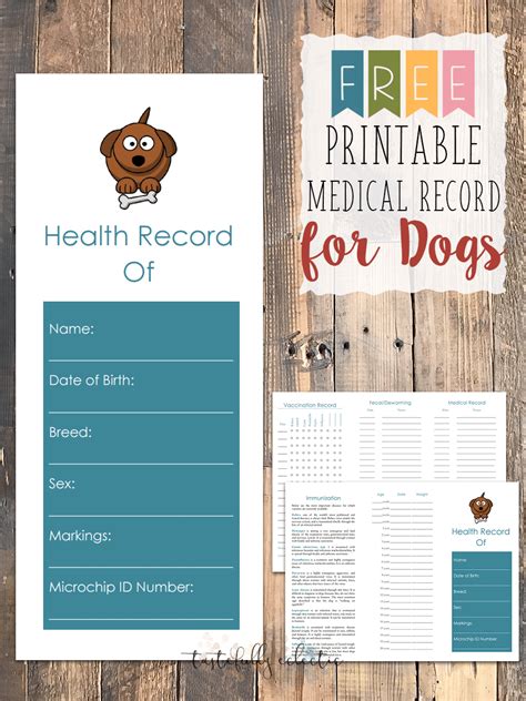 Pet Health Record Template PDF