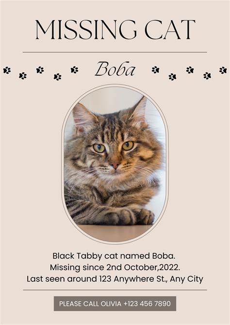 Pet lost template with a reward offer and contact information