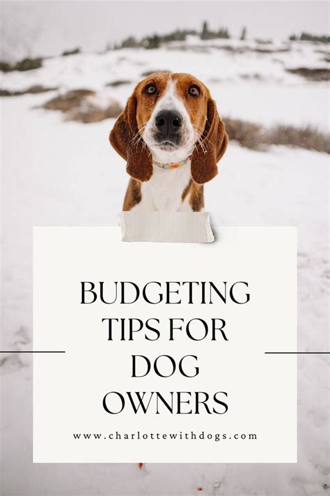 Pet Owner Budgeting