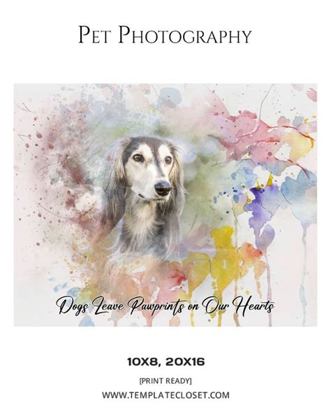 Pet Photography template example