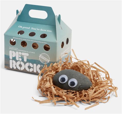 Pet Rock Box Template 1