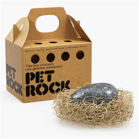 Pet Rock Box Template 10