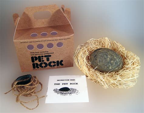 Pet Rock Box Template 6