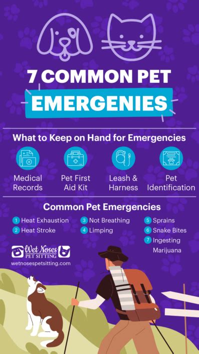 Pet sitting emergency procedures template