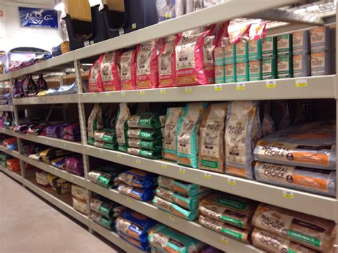 Affordable Fresh Dog Food Options at Local Pet Stores