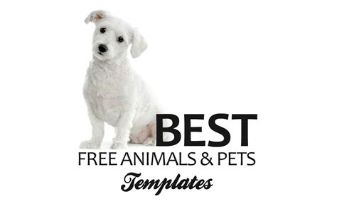 A sample pet template