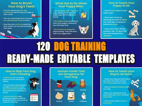 Pet Training template example