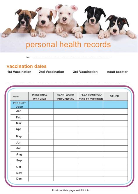 Pet vaccination record template layout