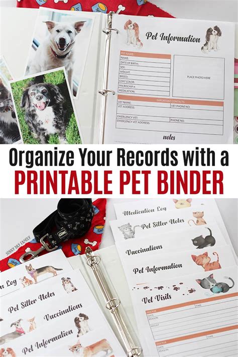 Pet vet bills organizer