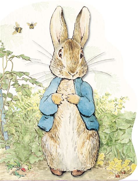 Peter Rabbit Illustrations