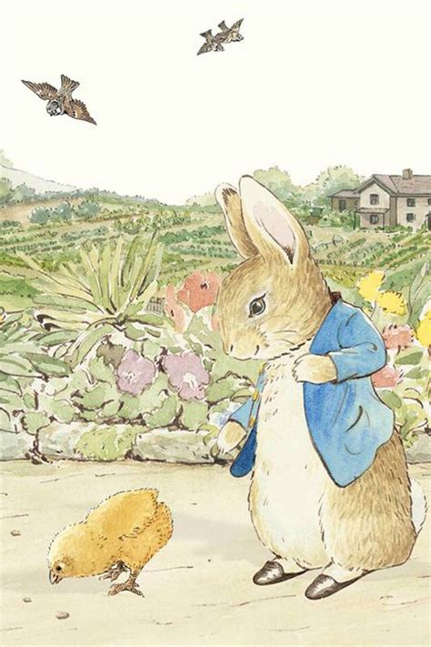 Peter Rabbit Image Gallery