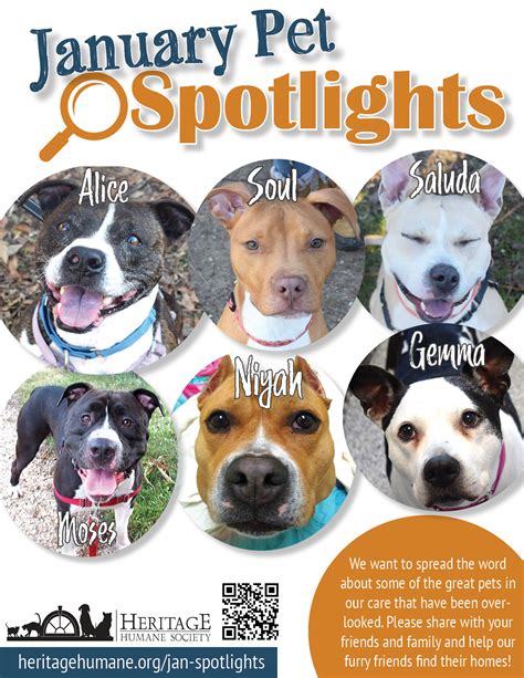 Pets in Spotlight