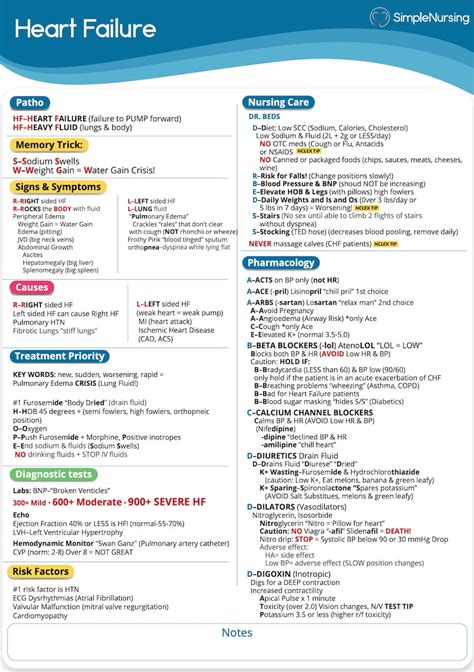 Pharmacology study guide sample 4