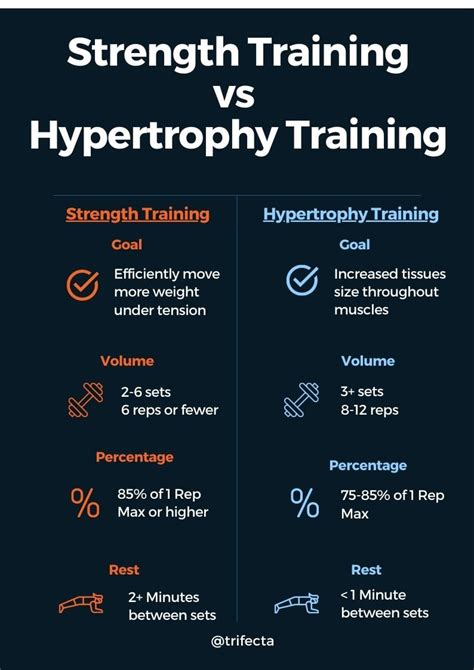 Phase 6 Upper Body Hypertrophy Training