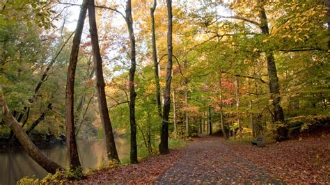 Dirt biking trails in Philadelphia