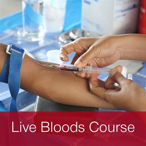 Phlebotomy Courses