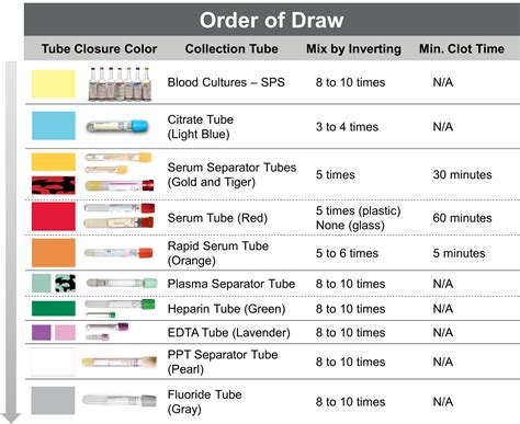 Phlebotomy Order of Draw Image 3