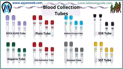 Phlebotomy Tubes