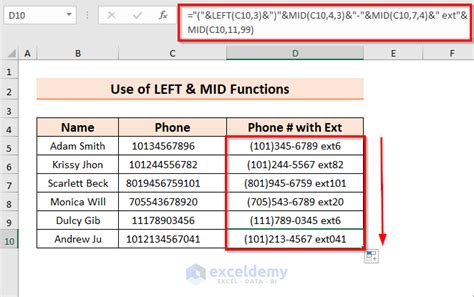 Phone Number Formatting Example 5