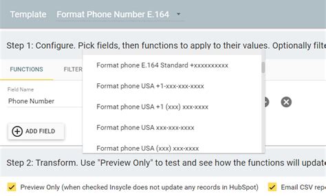 Phone Number Formatting Example 9