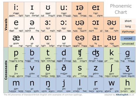 Phonetic Alphabet Applications