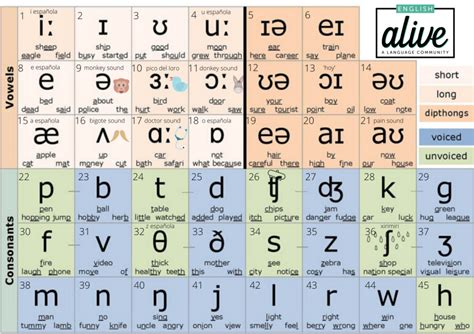 Phonetic Alphabet Comparison