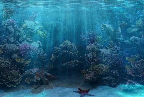 A photo-realistic aquarium background with a coral reef design