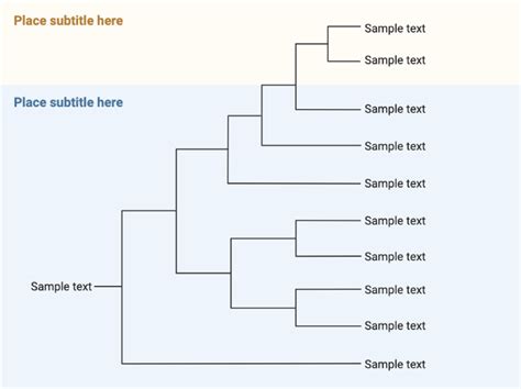 Phylogenetic Tree Template 1