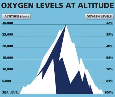 Physical Conditioning for High-Altitude Ascents