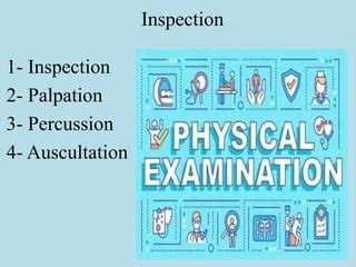 Physical Exam Components