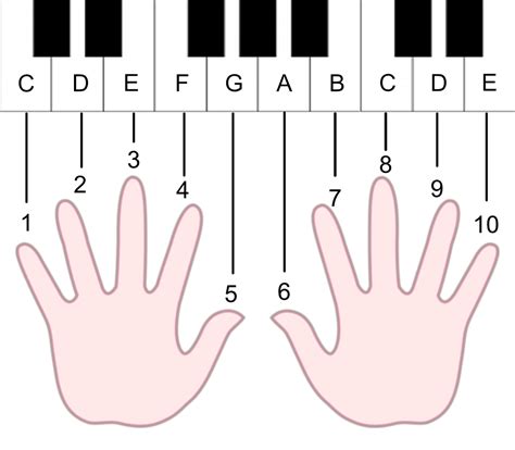 Piano finger numbering chart