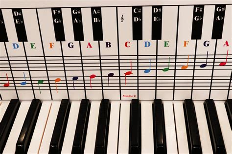 Piano note chart for learners