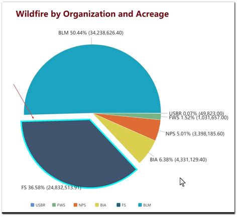 Pie Chart Customization Options