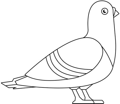 Pigeon template identification