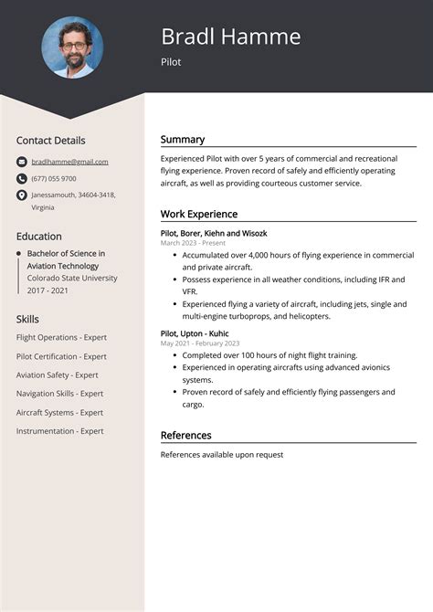 Pilot Resume Template 3