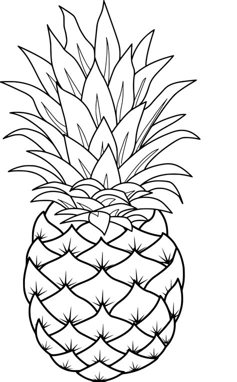 Pineapple Coloring Page