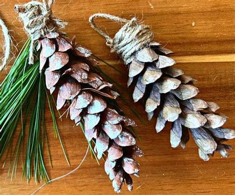 Pinecone Ornaments