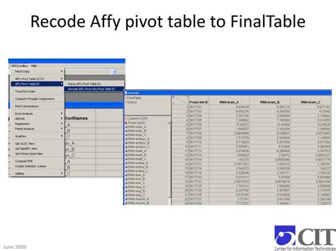 PivotTable Recode