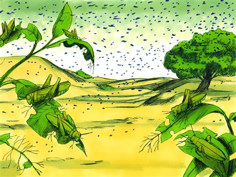 Plague of Locusts