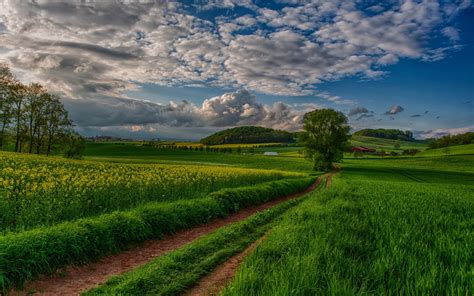 A vast, open plain with a few trees in the distance