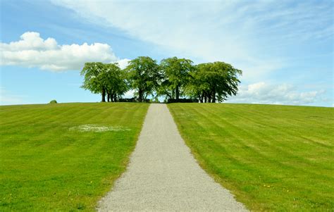 A serene plain landscape with a few trees and a vast sky