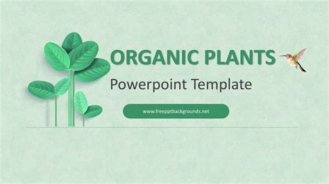 Plant biology template