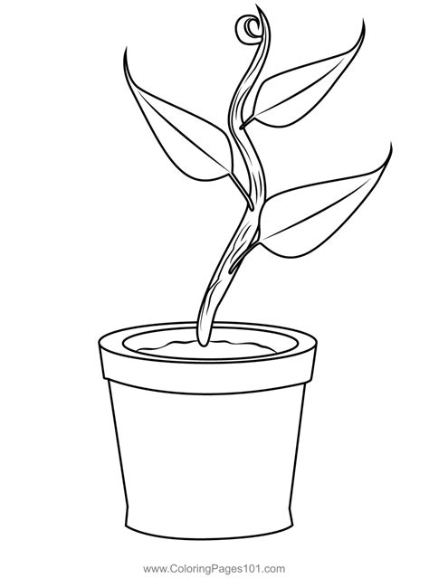 Plant Coloring Pages for Coloring Book