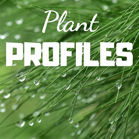 Plant Profile Page