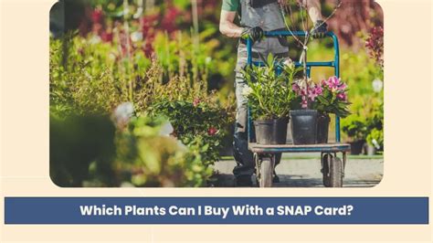 Plants SNAP-eligible