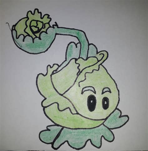 Plants vs Zombies Drawing Activity