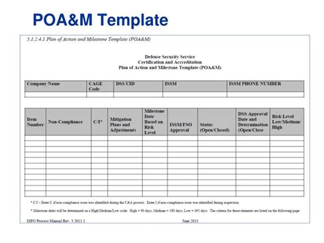 POA&M Template Excel Management