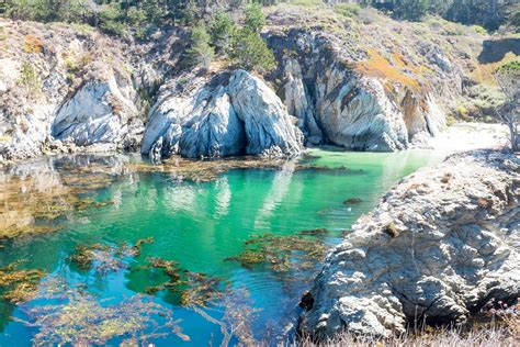 Point Lobos State Reserve