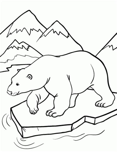 Polar bear coloring page